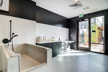 Pet spa with grooming station